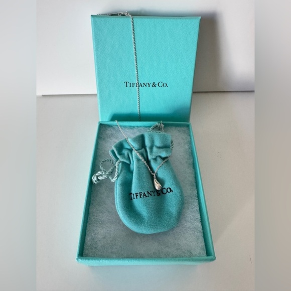 Tiffany&Co Pendant Necklace - Picture 1 of 6